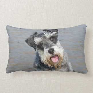 miniature schnauzer pillow