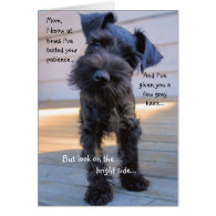 Schnauzer Mother's Day Greeting Card