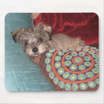 Schnauzer mousepads