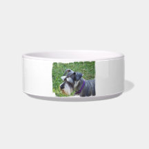 Schnauzer Pet Bowl