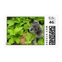 Schnauzer postage by clank828 Schnauzer postage