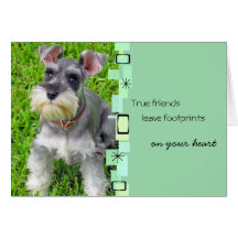 Schnauzer Puppy Birthday Greeting Card