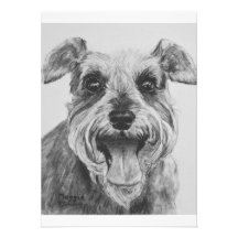 Schnauzer Sketch Artwork Custom Invitation