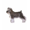 Schnauzer t-shirts
