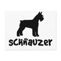 Schnauzer With Cool Text postcards