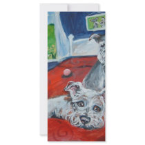 schnauzers on bed rack cards