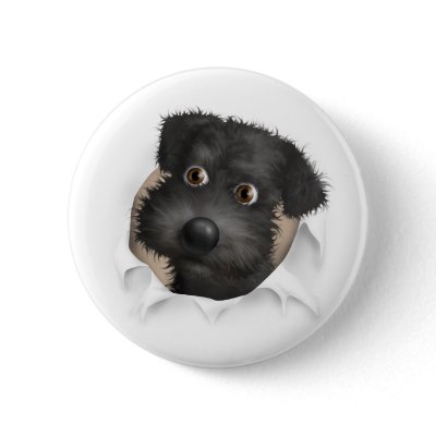 Schnoodle (Black) Busting Out Pins by cartoondogs
