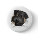 Schnoodle (Black) Busting Out buttons by cartoondogs Schnoodle (Black) Busting Out buttons
