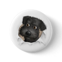 Schnoodle (Black) Busting Out buttons