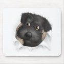 Schnoodle (Black) Busting Out mousepads