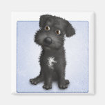 Schnoodle (Black) Refrigerator Magnets