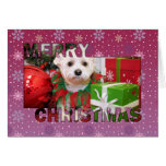 Schnoodle Christmas Photocard