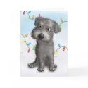 Schnoodle (Gray) Christmas cards by cartoondogs Schnoodle (Gray) Christmas cards