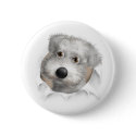 Schnoodle (White) Busting Out buttons by cartoondogs Schnoodle (White) Busting Out buttons