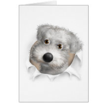 Schnoodle (White) Busting Out Card