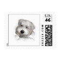 Schnoodle (White) Busting Out - Customized stamp