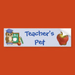 teacher, teaching, owl, read, education, school,
