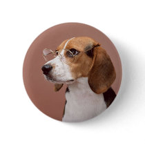 Scholarly Beagle Pinback Button