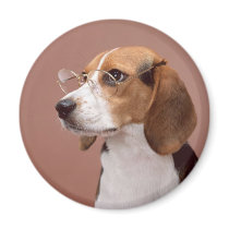 Scholarly Beagle Refrigerator Magnets