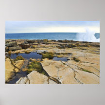 Schoodic Peninsula Posters