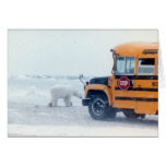 School bus and bear