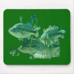 School O Bass-From FishTs Freshwater Collection