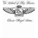 School of Big Biz (Fitted T-Shirt)