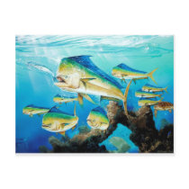 School of Dolphin postcards by VathauerStudio School of Dolphin postcards