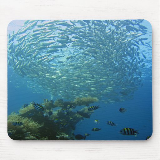Fishing Mouse Pads & Fishing Mousepad Designs Zazzle