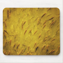 School of fish mousepad mousepads