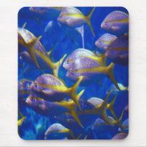 School of snappers, on a mousepad by design_girl School of snappers, on a mousepad