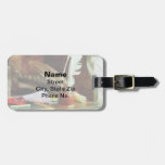 School Supplies in General Store Tags For Luggage