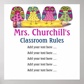 School Teacher's Classroom Rules LG. by SRF Poster