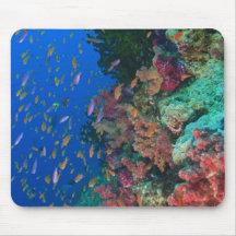 Schooling Fairy Basslets (Pseudanthias Mouse Pads