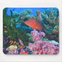 schooling Fairy Basslets  (Pseudanthias Mouse Pads