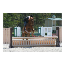 Schooling Poster posters by EquineGal Schooling Poster posters