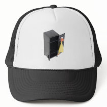 SchoolPranks110709 copy hats