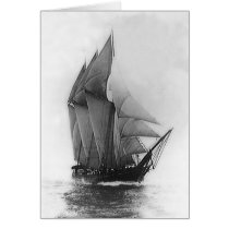 Schooner Mabel Rose cards