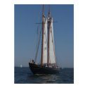 Schooner on parade posters by CptMikey Schooner on parade posters
