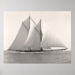 Schooner Yacht Merlin Poster