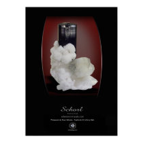 SCHORL posters