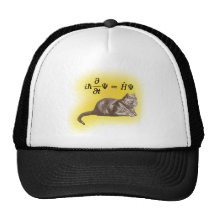 Schrodinger cat hats