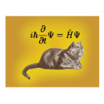 Schrodinger cat post cards