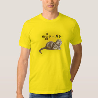 schrodinger's cat equation shirt