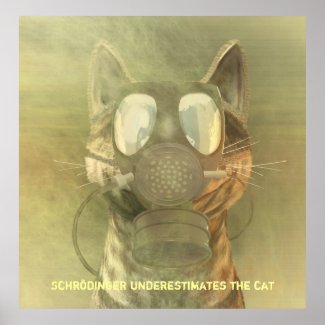 Schroedinger underestimates the cat poster