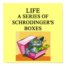 schrodinger's cat box joke posters