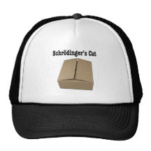 Schrodinger's Cat Box Mesh Hat