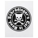 Schrödinger's Cat is Dead. flyers