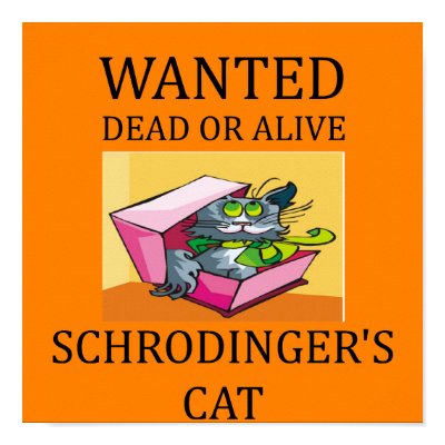 schrodinger's cat joke poster by jimhartley