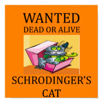 schrodinger's cat joke posters